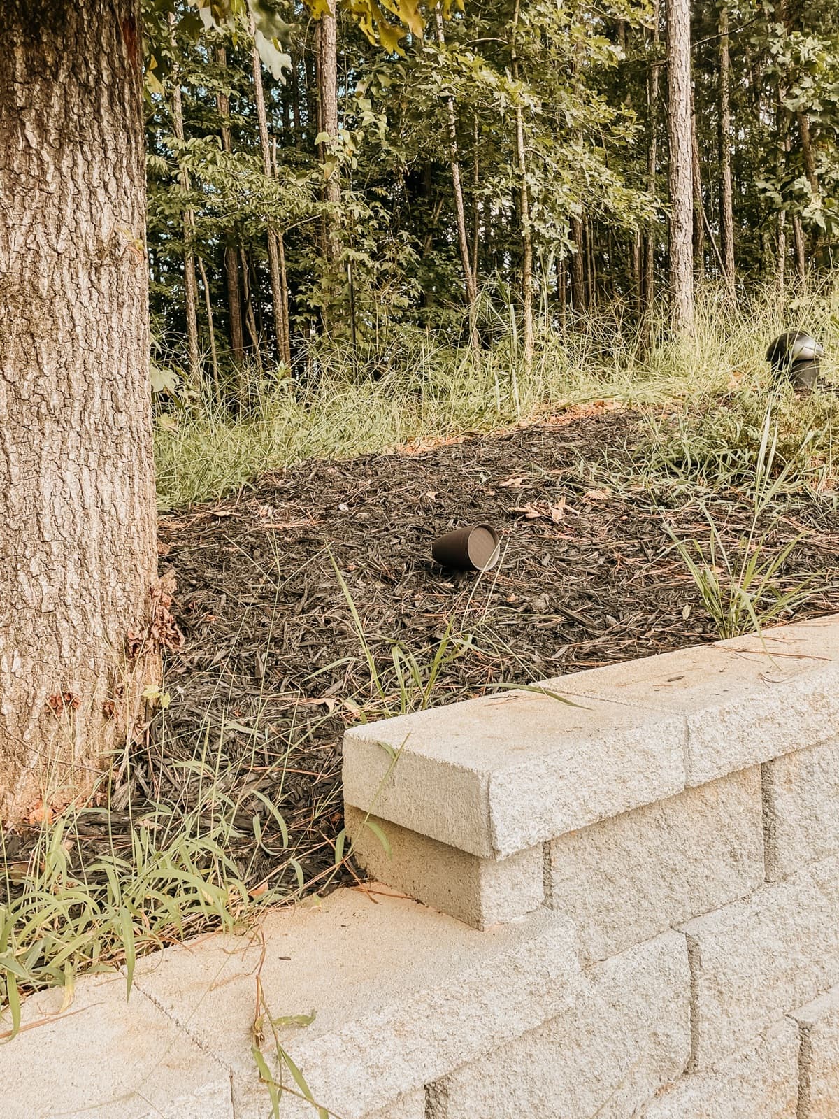 Landscape speaker installed in a garden bed with buried wiring